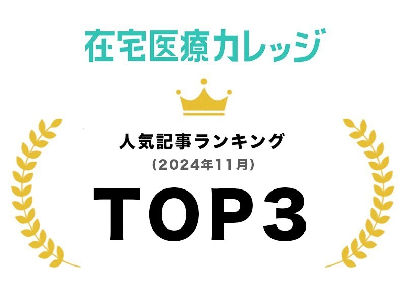 2024年11月｜人気記事ランキング｜TOP3