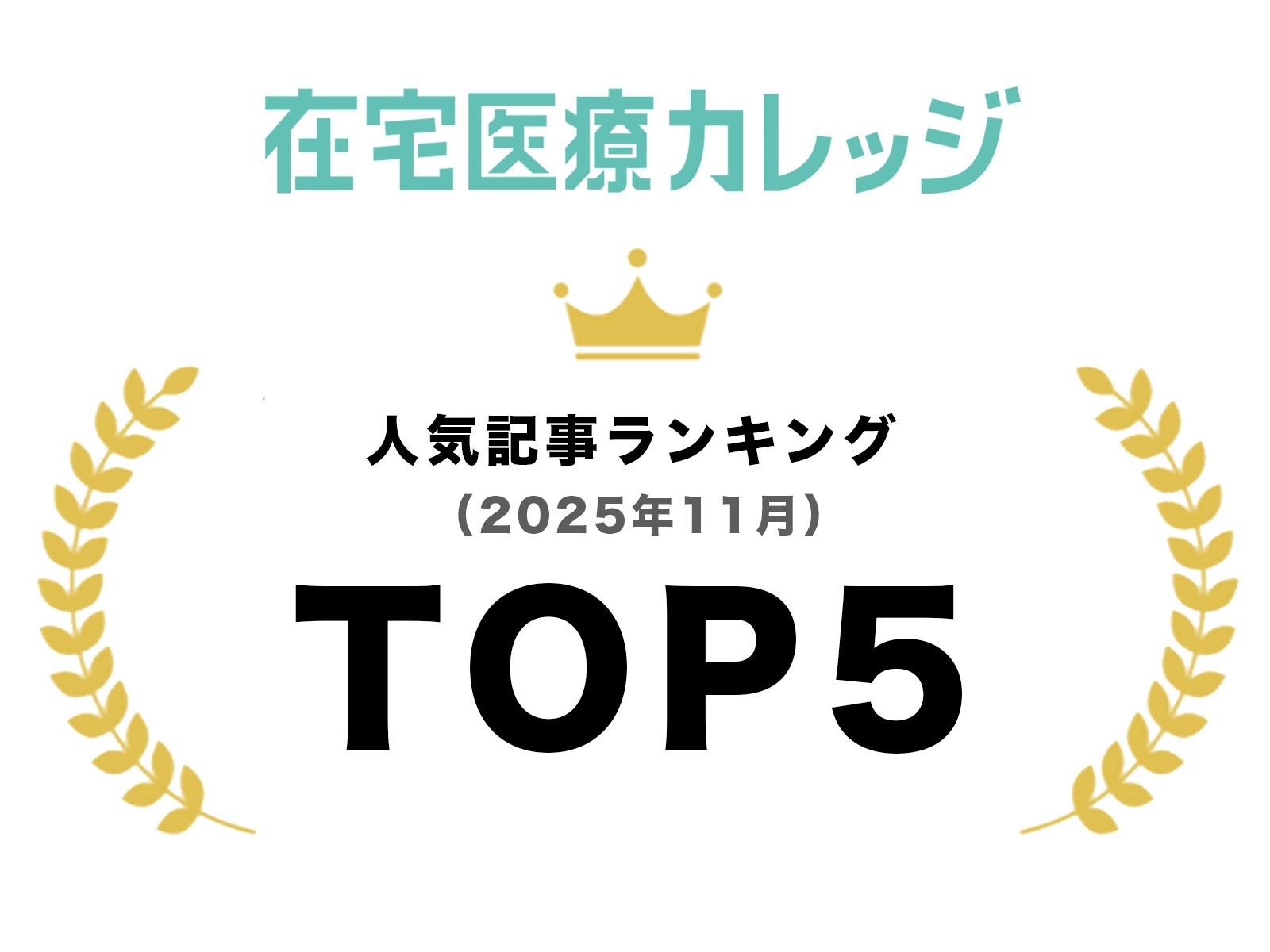 2025年11月｜人気記事ランキング｜TOP5